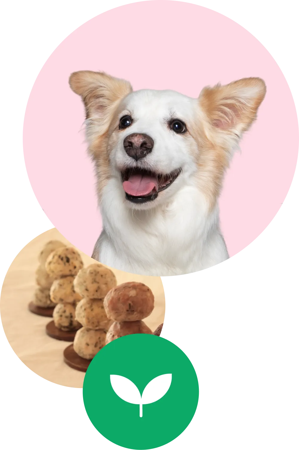 쿠루름 대표 프로필사진